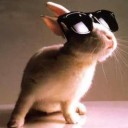 Jack, Ronan, Frisk, Panpan (Thumper)...