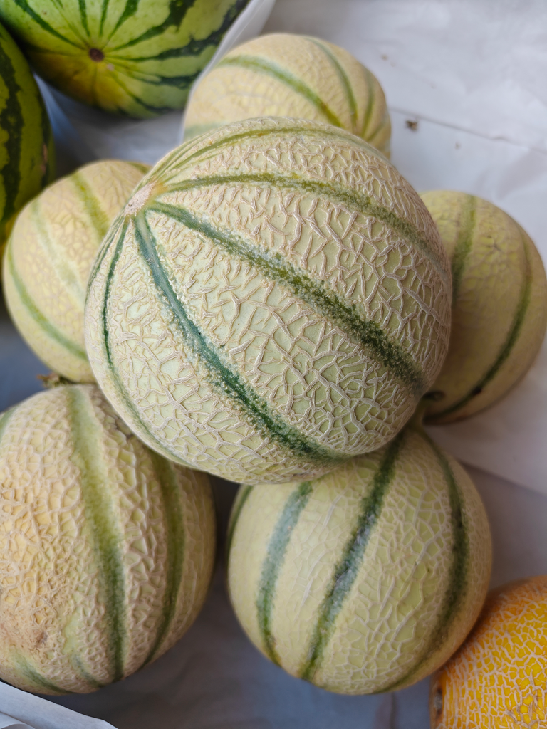 Melon Charentais BIO (pièce +/- 1Kg)