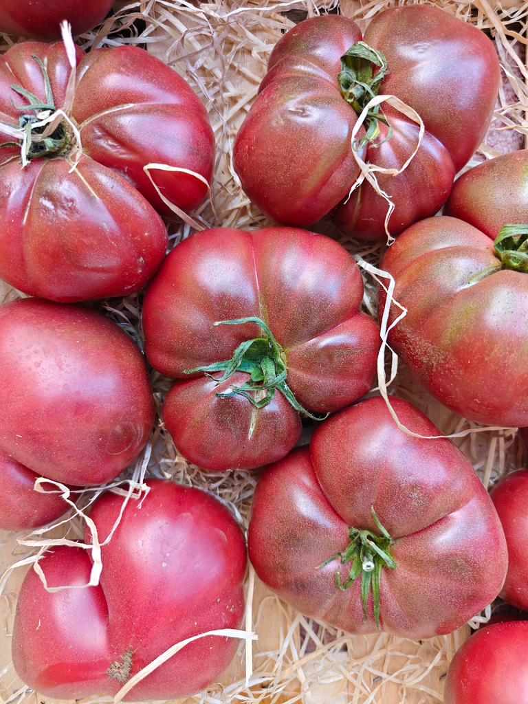 Tomate Coeur de Boeuf BIO (500gr)
