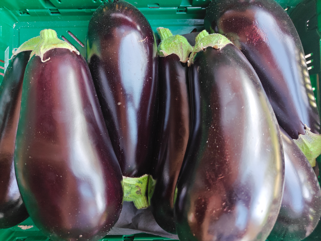 Aubergine BIO (300gr)