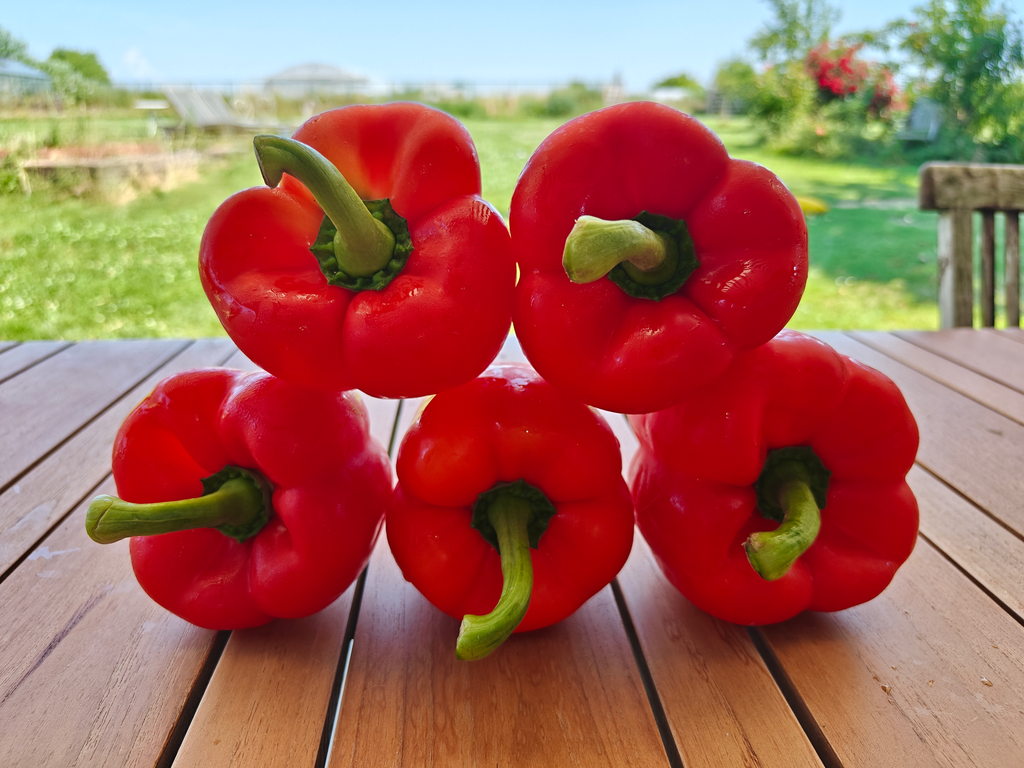 Poivron rouge BIO (200gr)