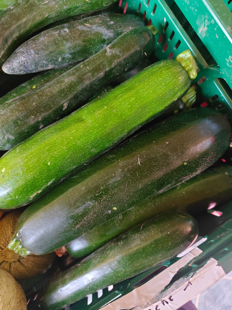 Courgette verte BIO (500gr)