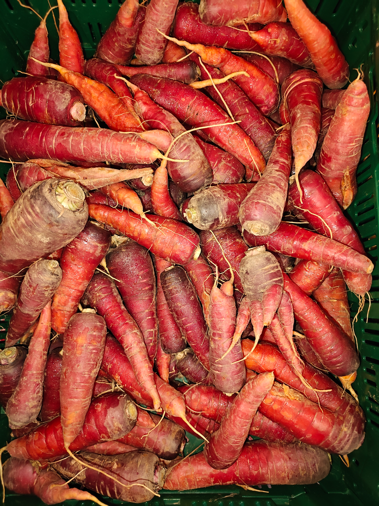 Carotte rouge LCR (500gr)