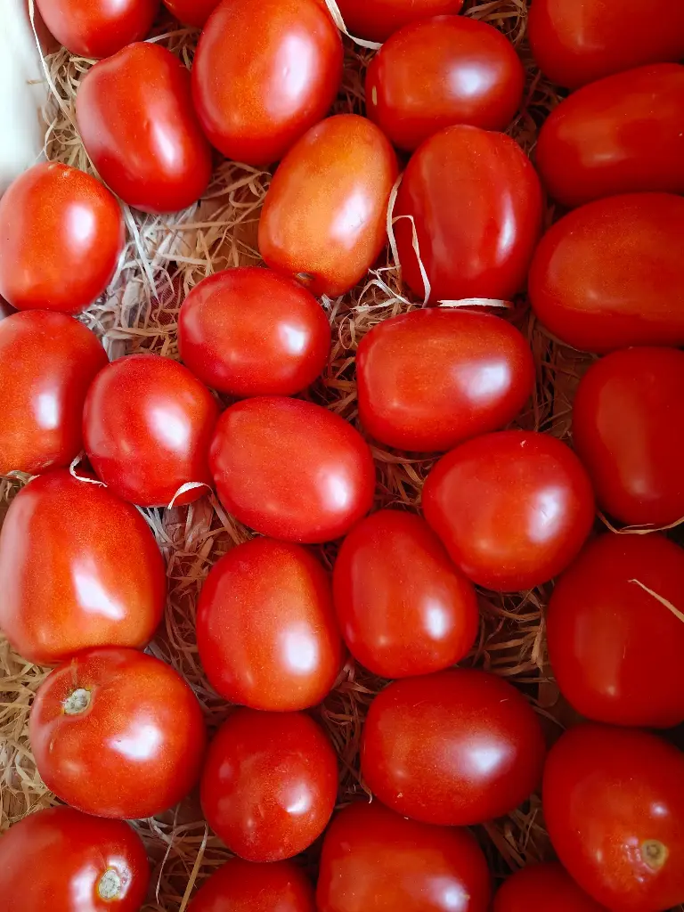 Tomate Roma BIO (500gr)