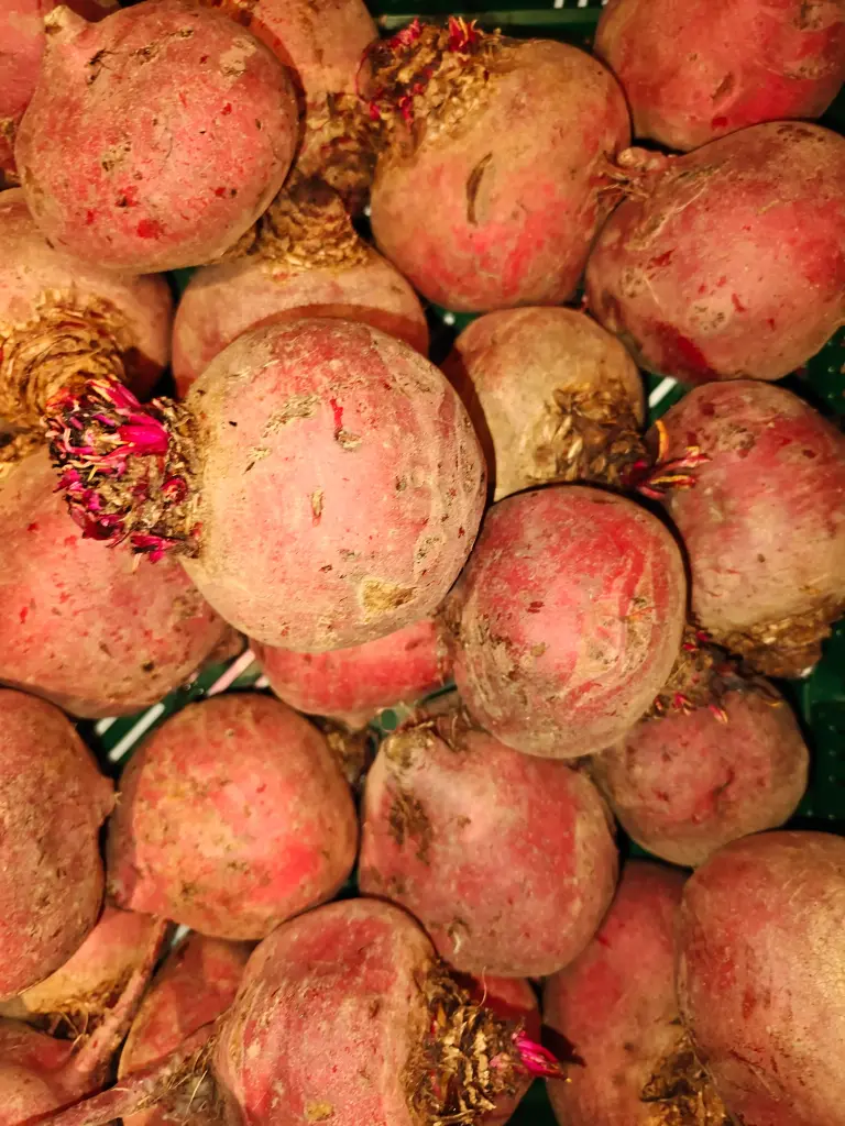 Betterave chioggia LCR (500gr)