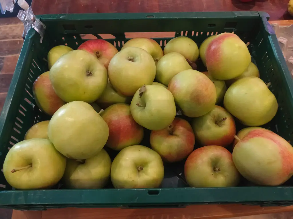 Pomme d'août BIO (500gr)