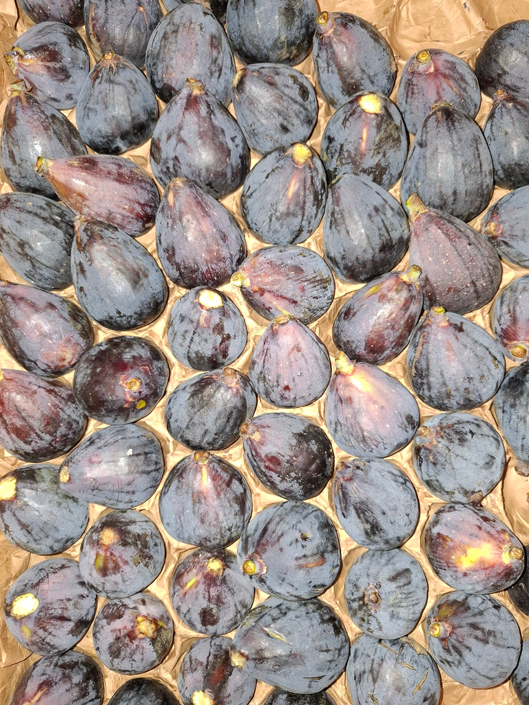 Figue noire BIO (150gr)
