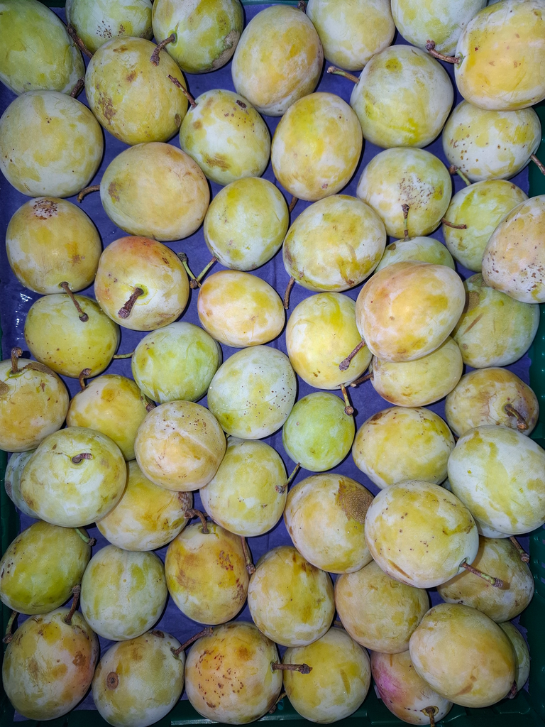 Prune jaune BIO (250gr)