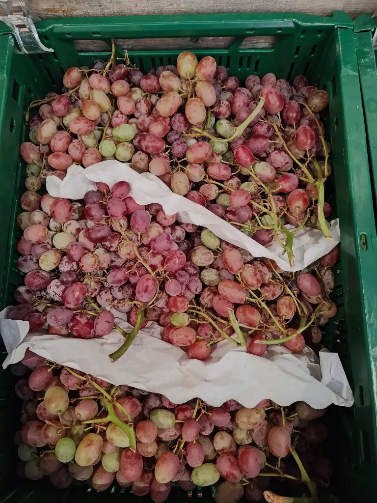 Raisin rouge sans pépins BIO (500gr)