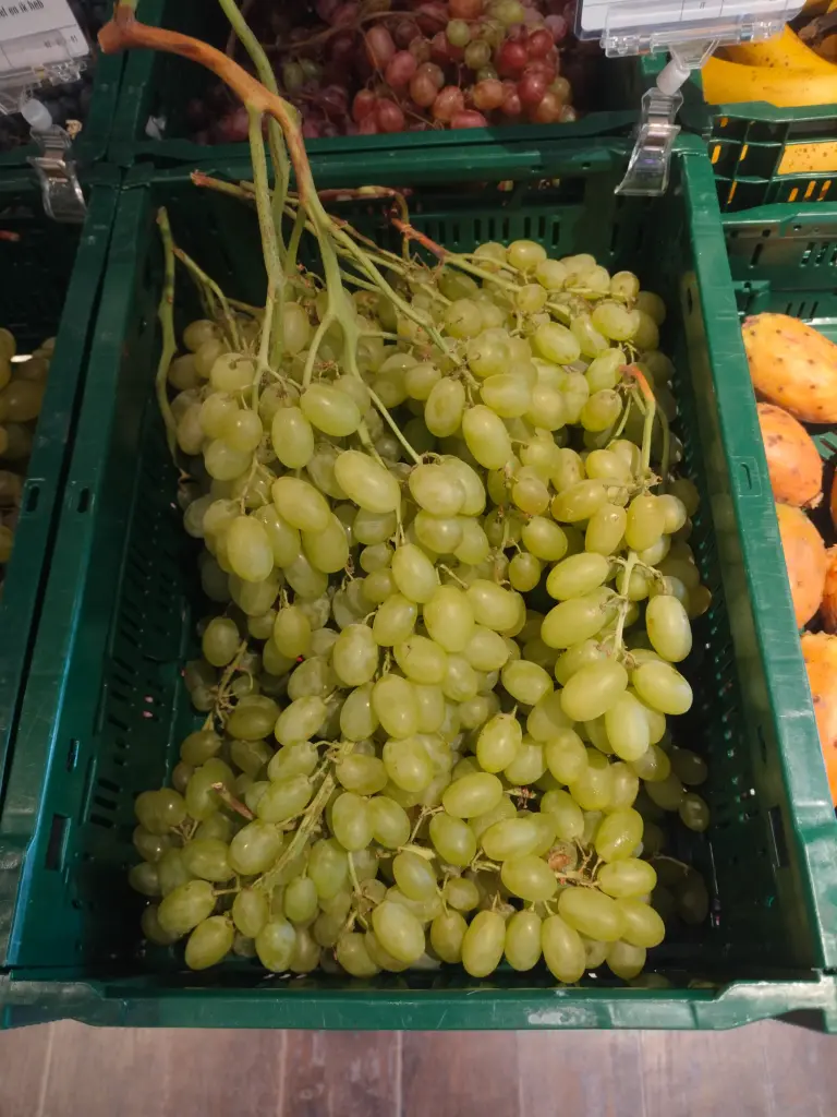 Raisin blanc sans pépins BIO (500gr)