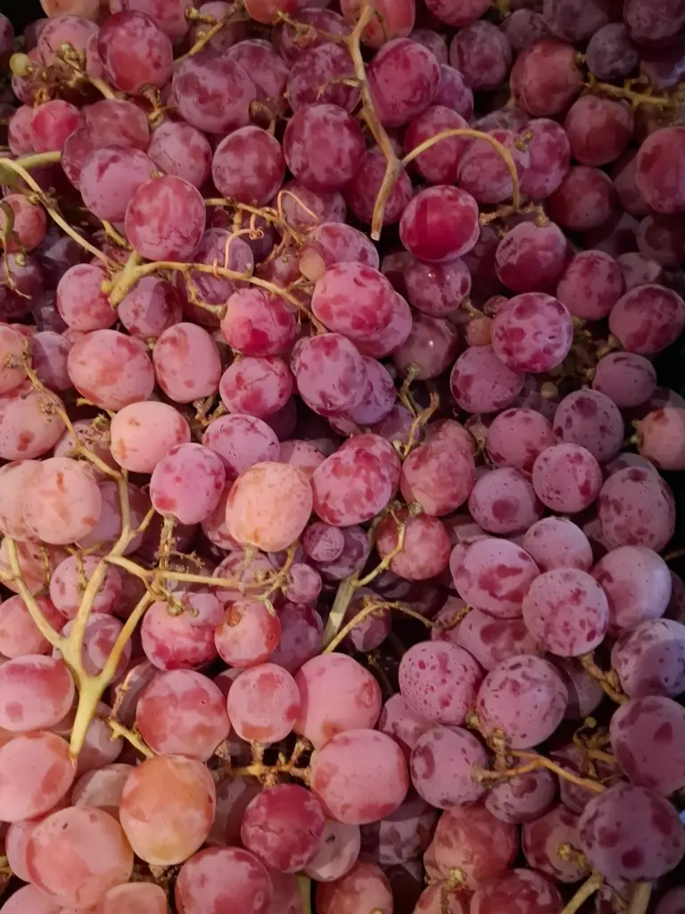 Raisin rouge Red Globe BIO (500gr)