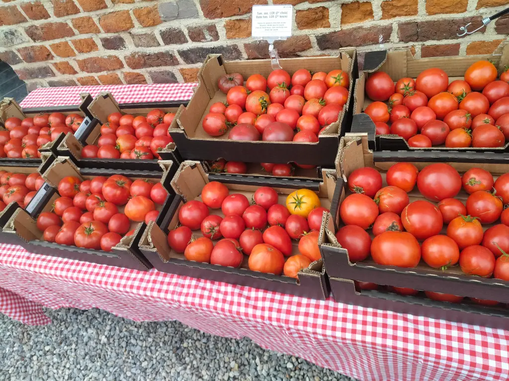 Tomate ancienne LCR (2° choix) (caisse de 2.5Kg)
