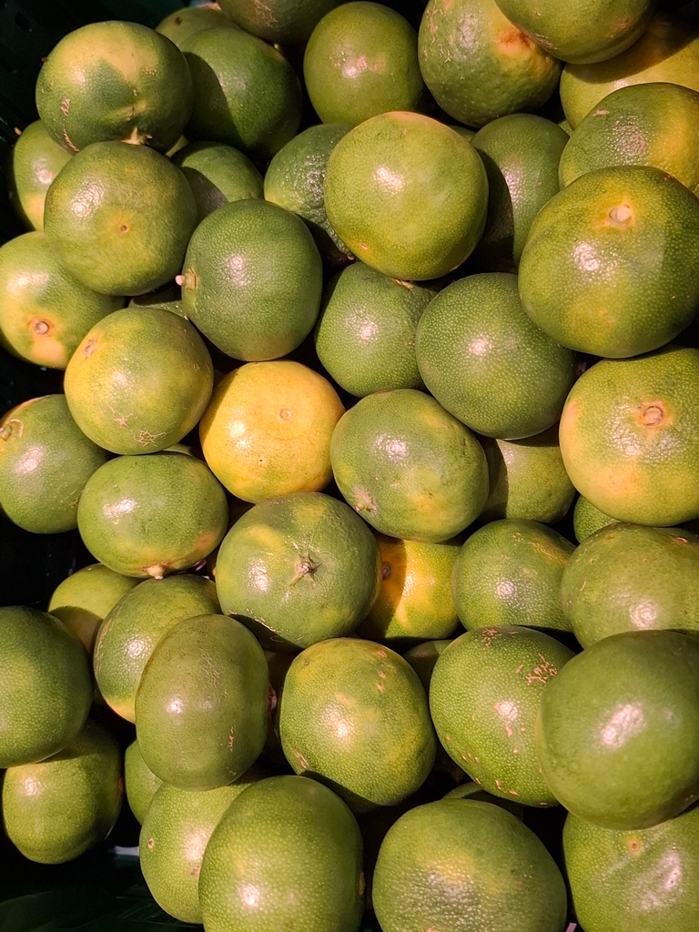Mandarijn - Satsuma BIO (500gr)