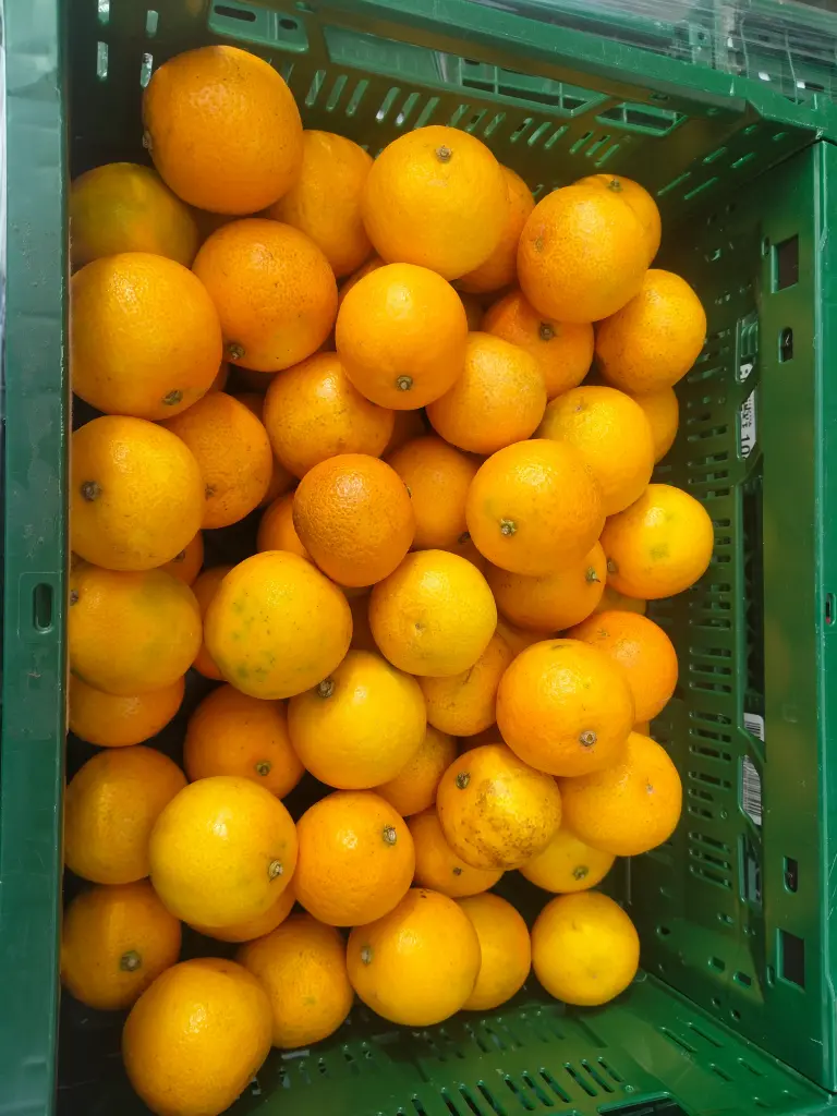 Clémentine BIO (500gr)