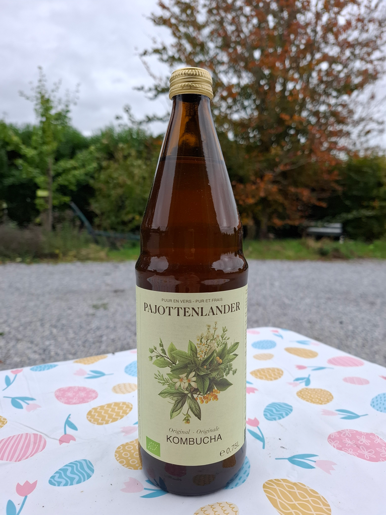 Kombucha originale BIO