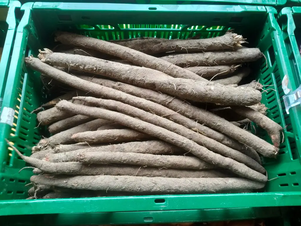 Scorsonère BIO (500g)