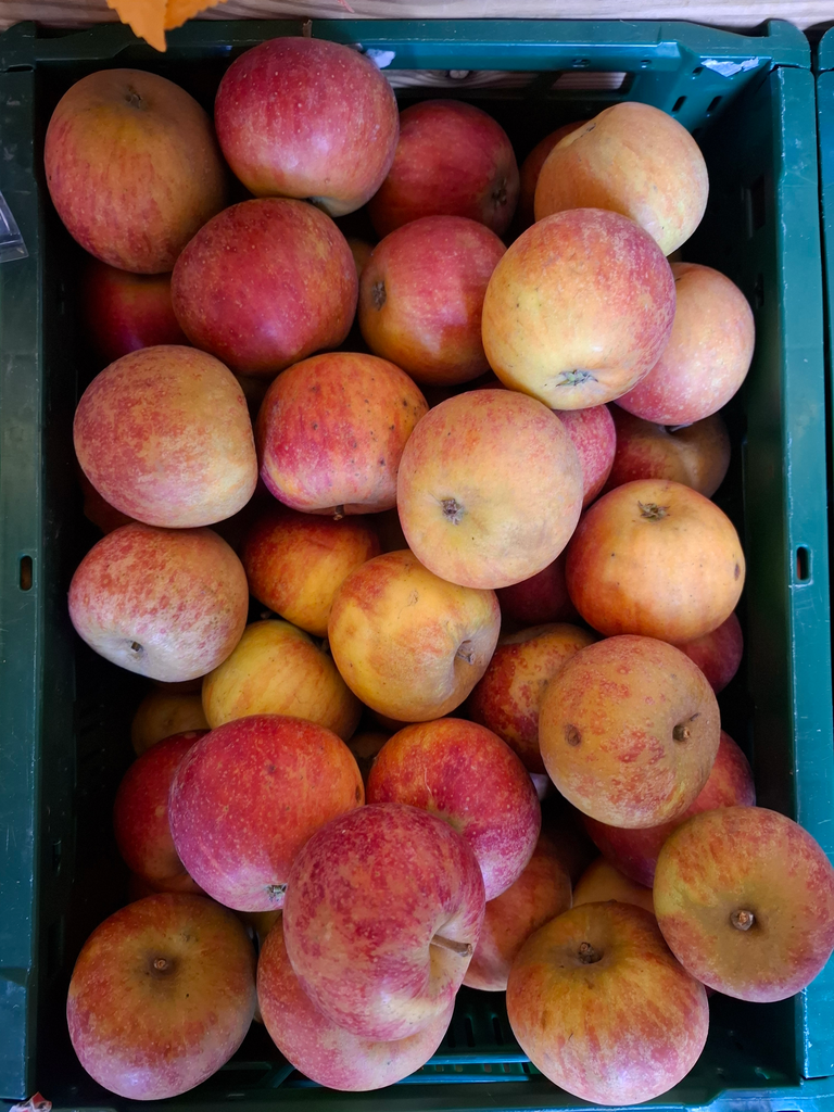 Pomme Cox orange BIO (500gr)