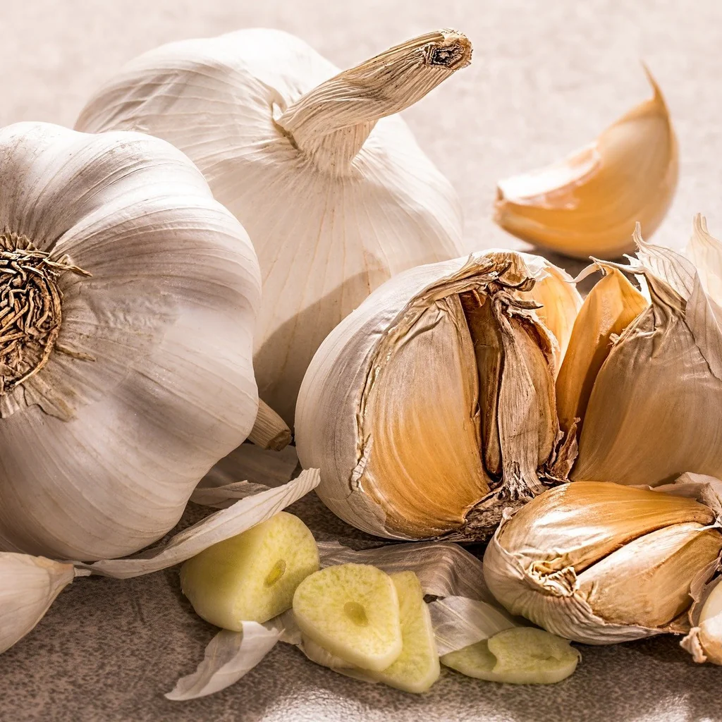 Garlic BIO (100gr)