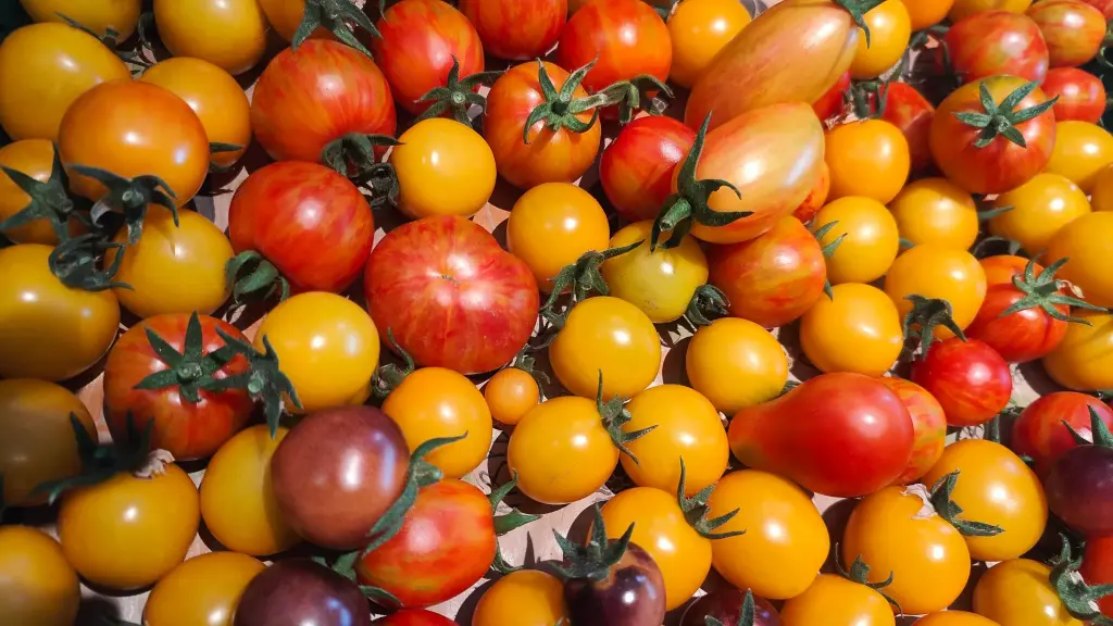 Tomates Cerise/Cocktail (Mix 250gr)