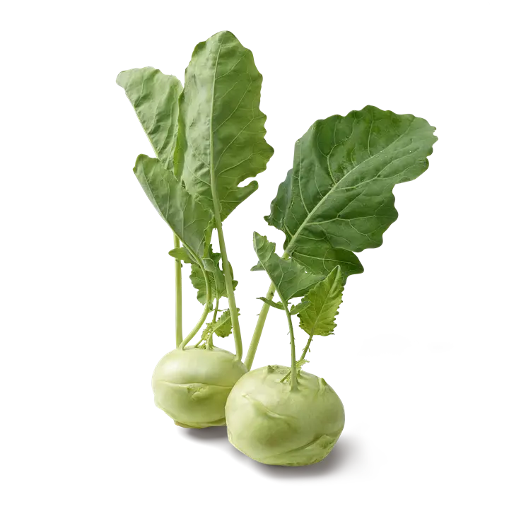 Koolrabi (stuk)