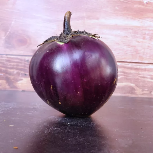 Eggplant Ronde de Valence (piece)