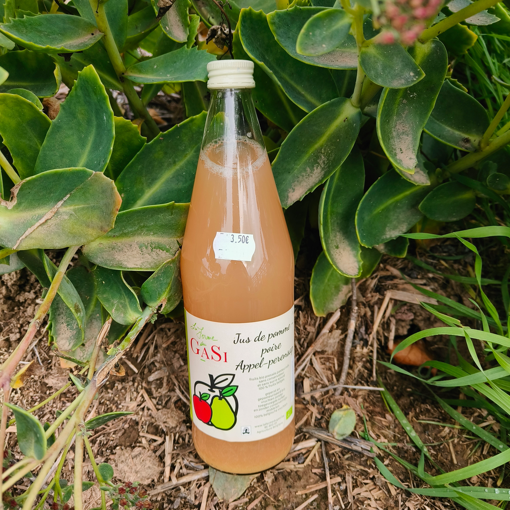 Juice- Apple-pear BIO