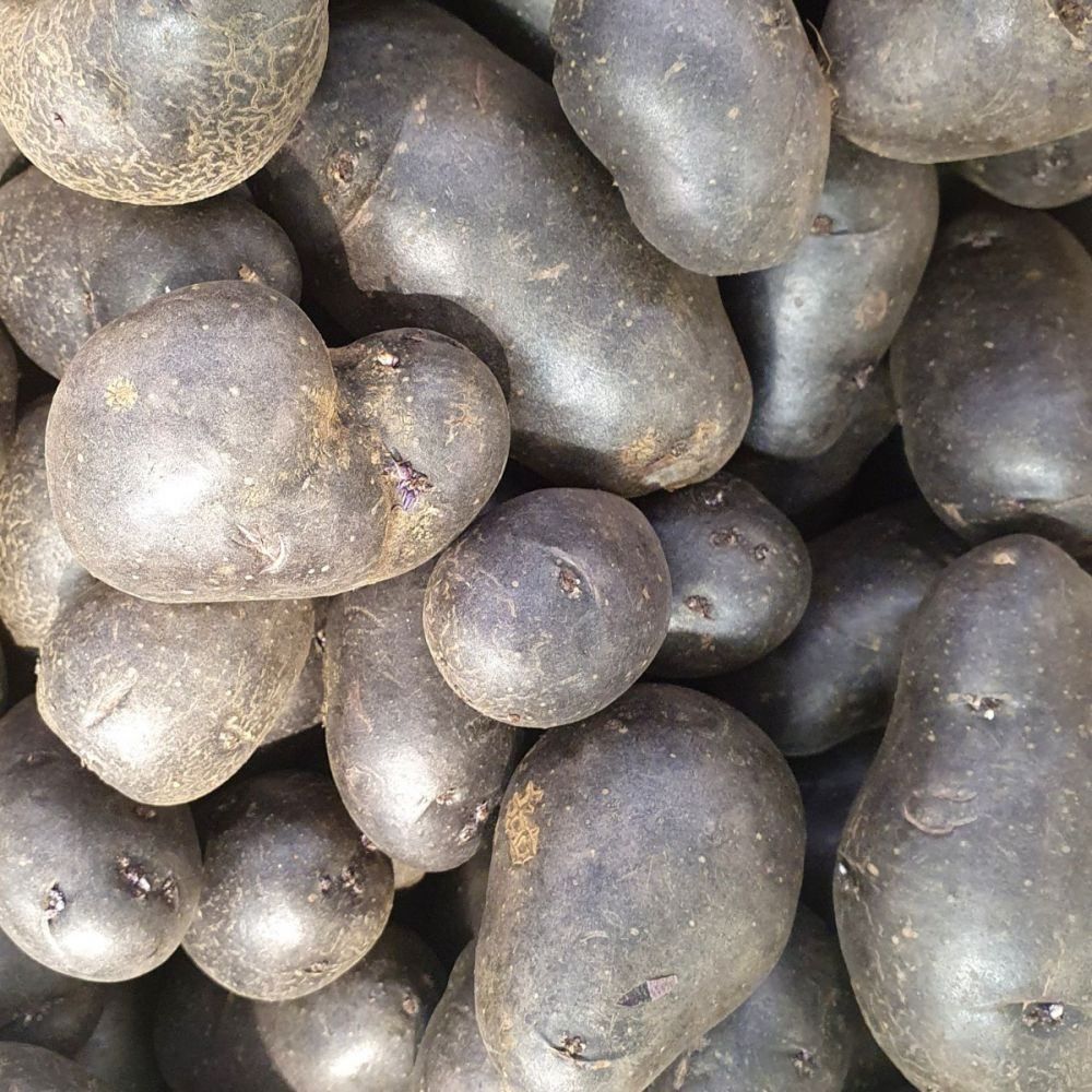 Potato - Vitanoir BIO (500gr)