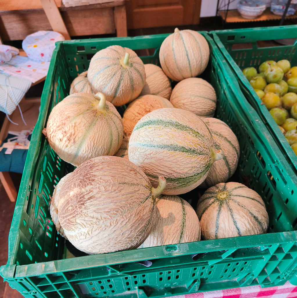 Melon (pièce)