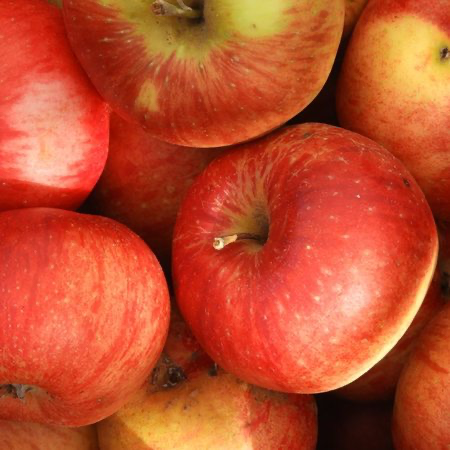 Apple - Santana BIO (500gr)