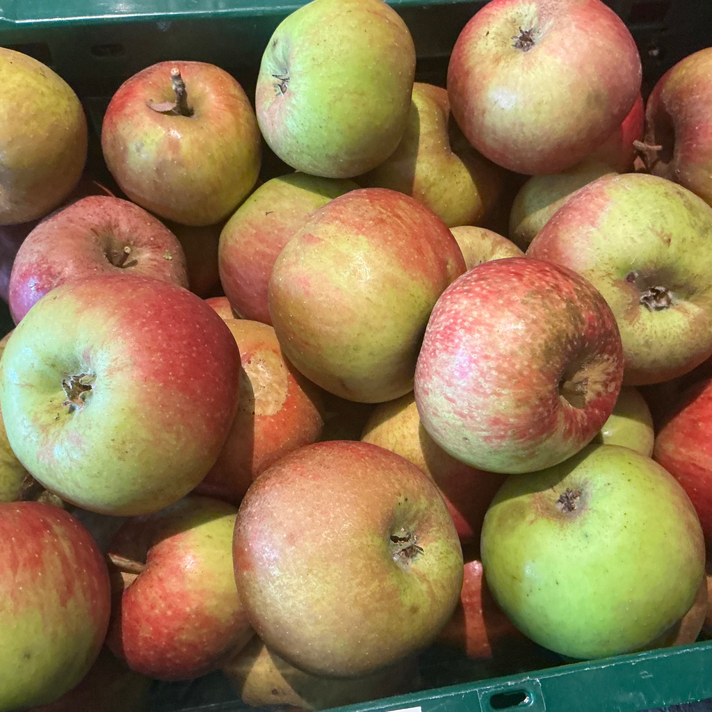 Pomme Belle de Boskoop BIO (500gr)
