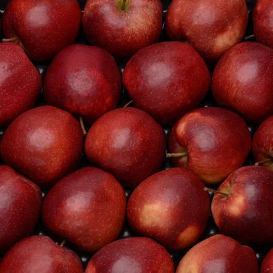 Apple - Wellant BIO (500gr)
