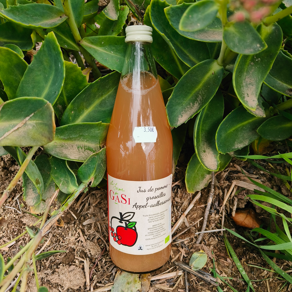 Jus pomme-groseille BIO