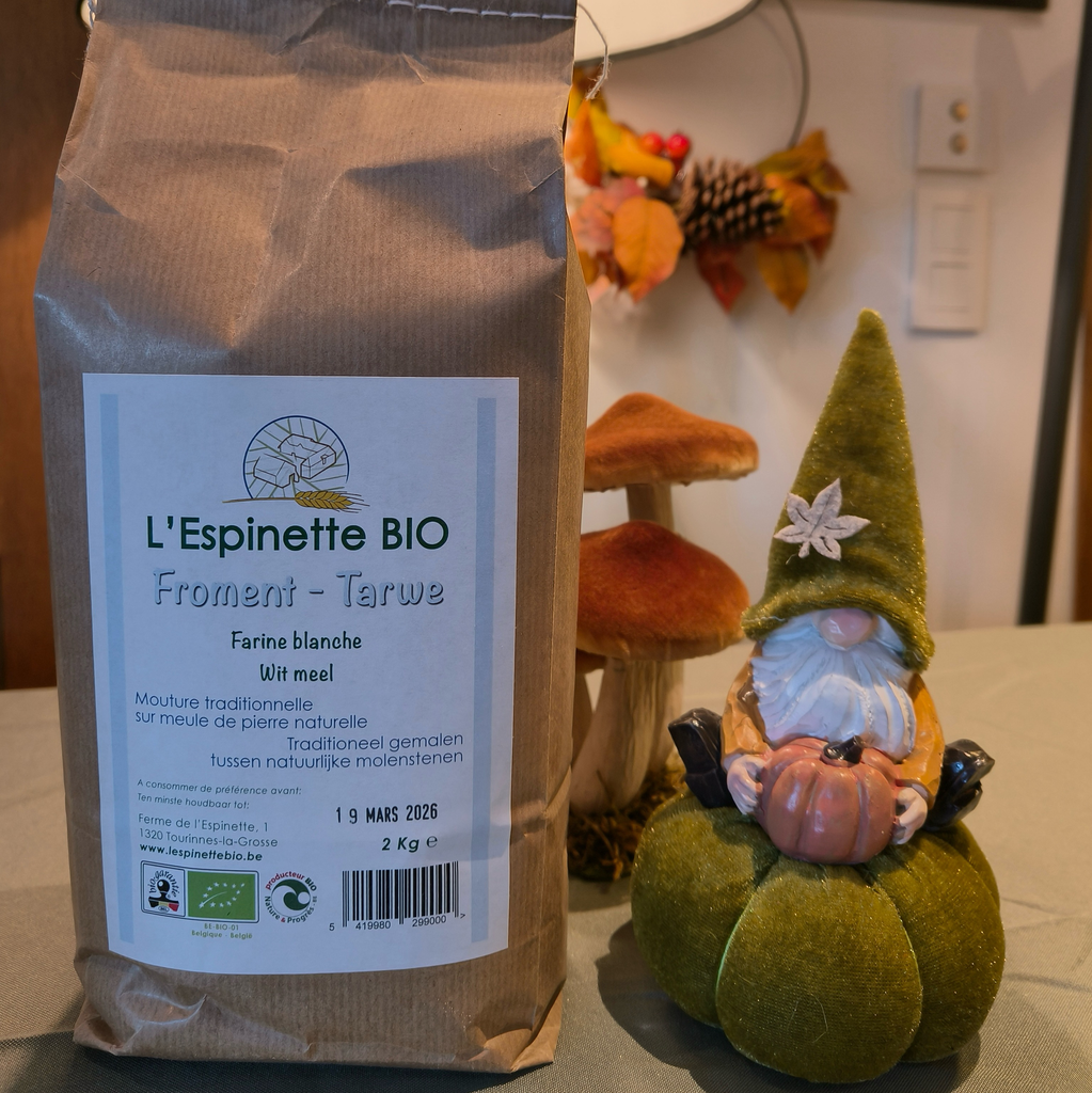 Farine de froment blanche BIO (2kg)