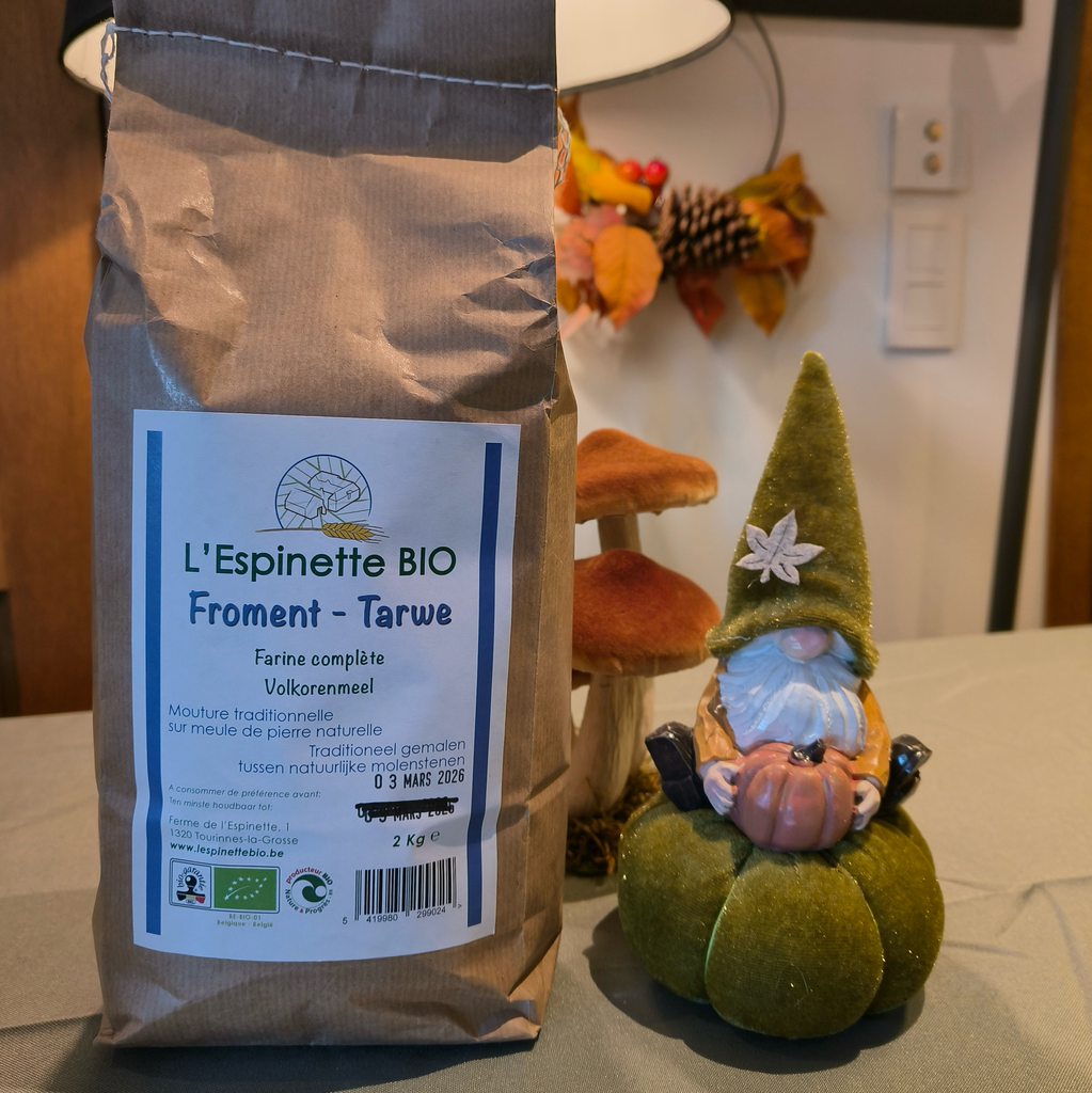 Farine de froment complète BIO (2kg)