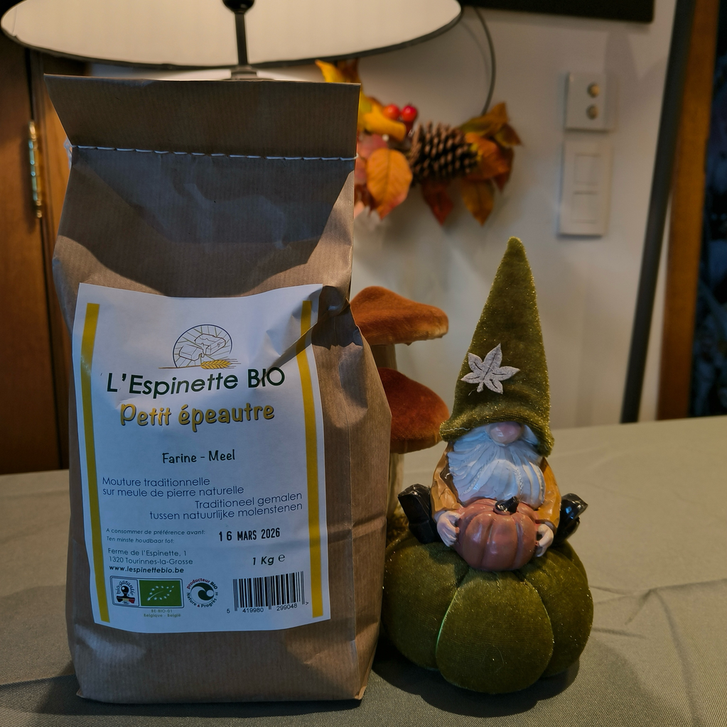 Farine de petit épeautre BIO (1kg)