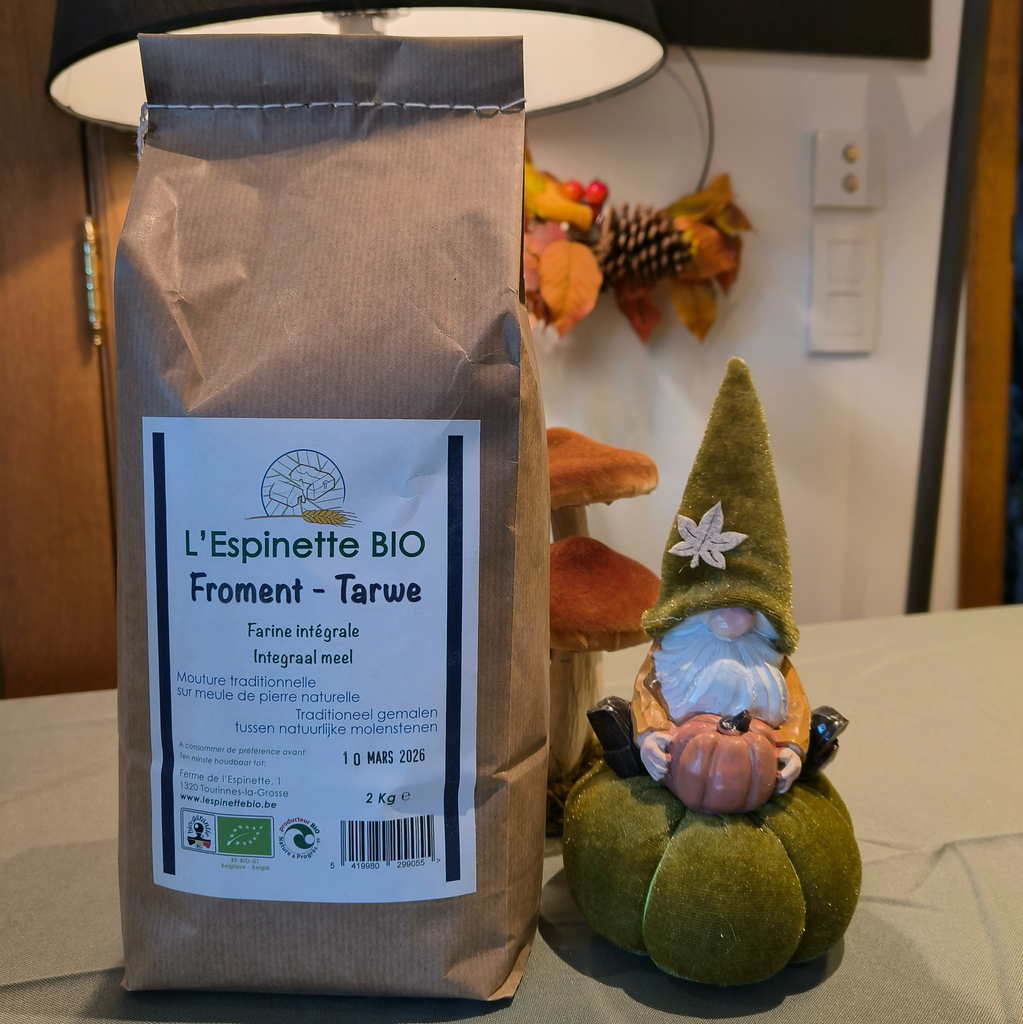 Farine de froment intégrale BIO (2kg)
