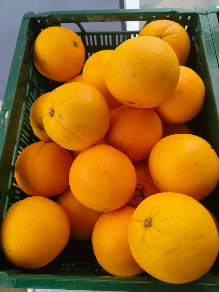 Pomelo BIO (piece/400gr)