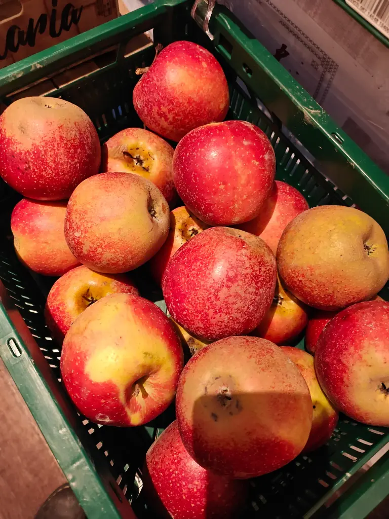 Appel - Pirouette BIO (500gr)