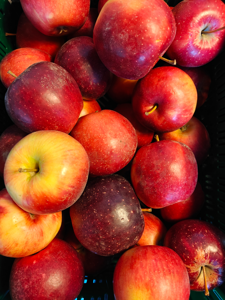 Pomme Elise BIO (500gr)