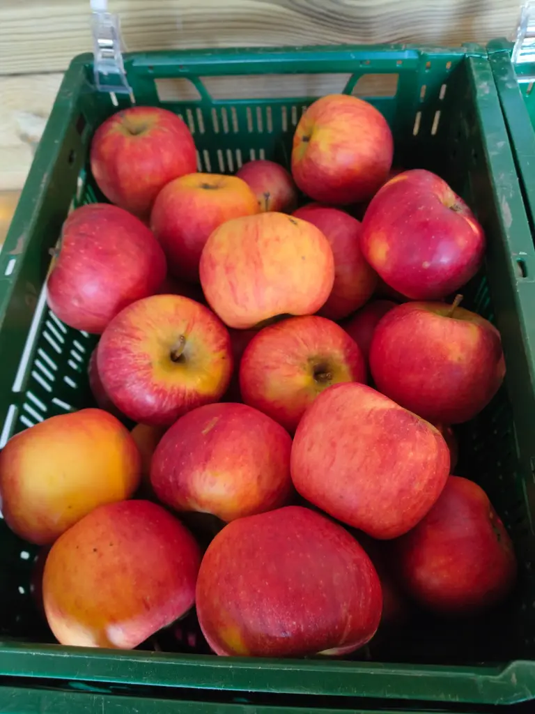 Pomme Ducasse (500gr)