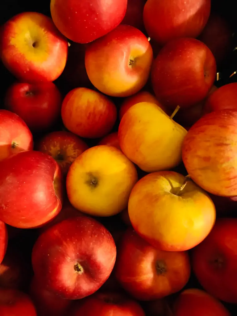 Pomme Topaz BIO (500gr)