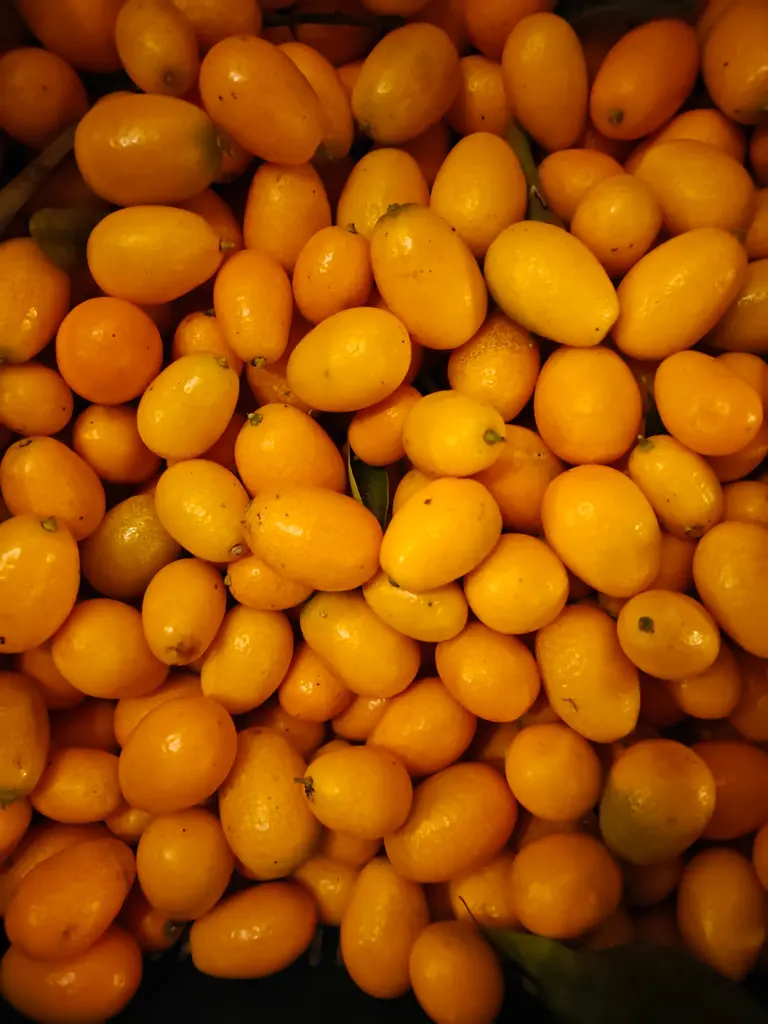 Kumquat BIO (150gr)