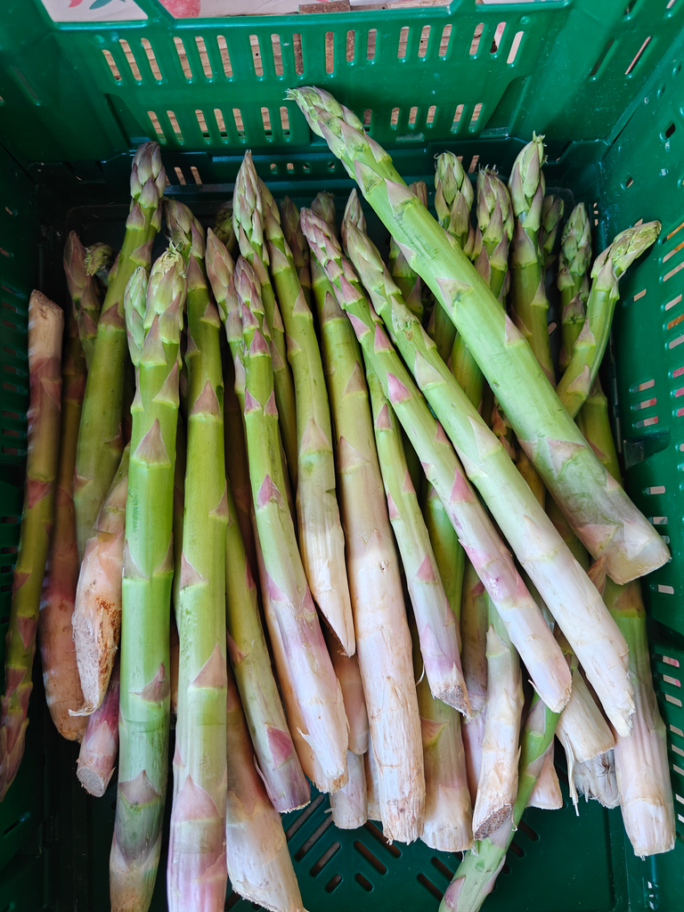 Asperge verte BIO (500gr)