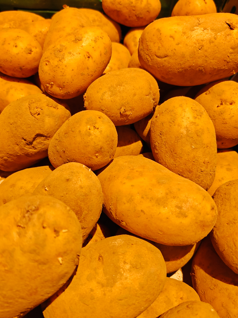 Pomme de terre Tentation BIO (500gr)
