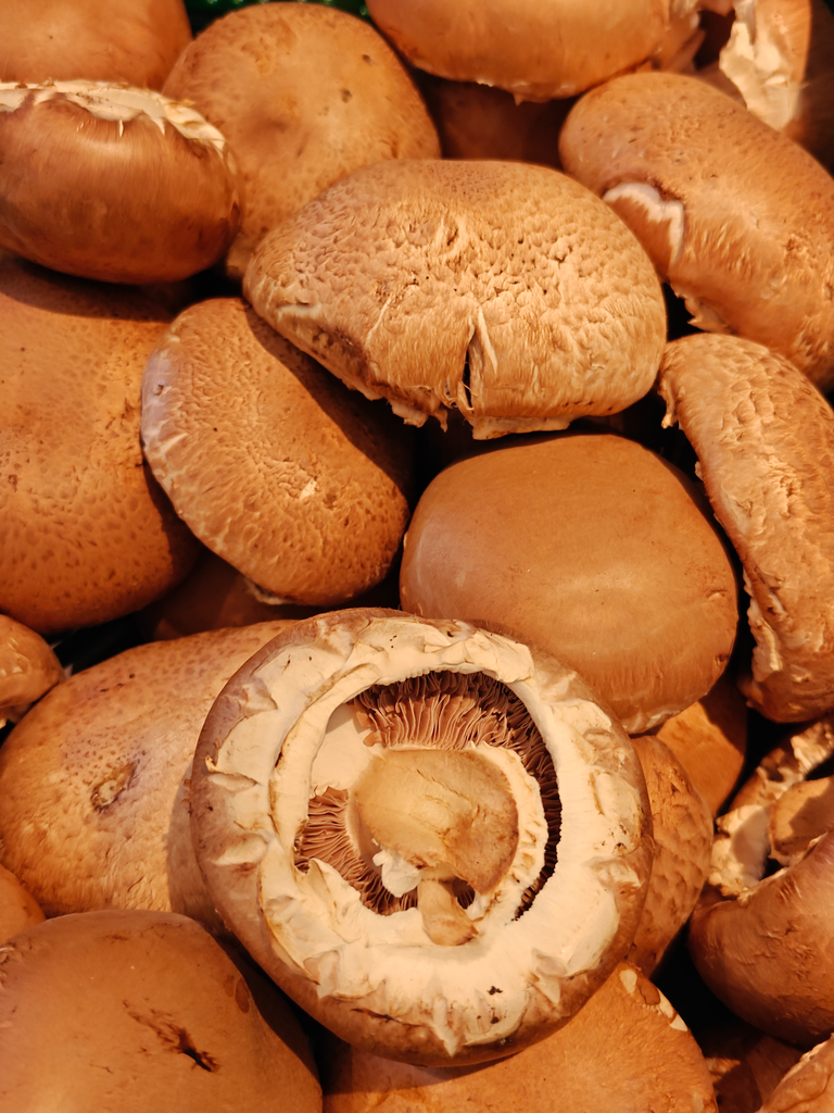 Champignon Portobello BIO (100gr)