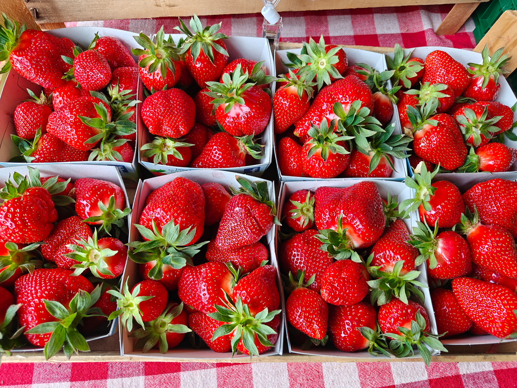 Sclimpré-aardbeien (500gr)