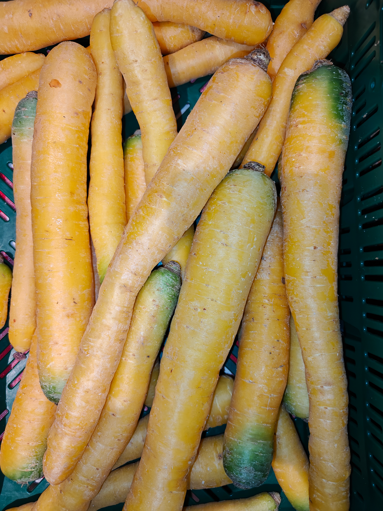 Carotte jaune BIO (500gr)