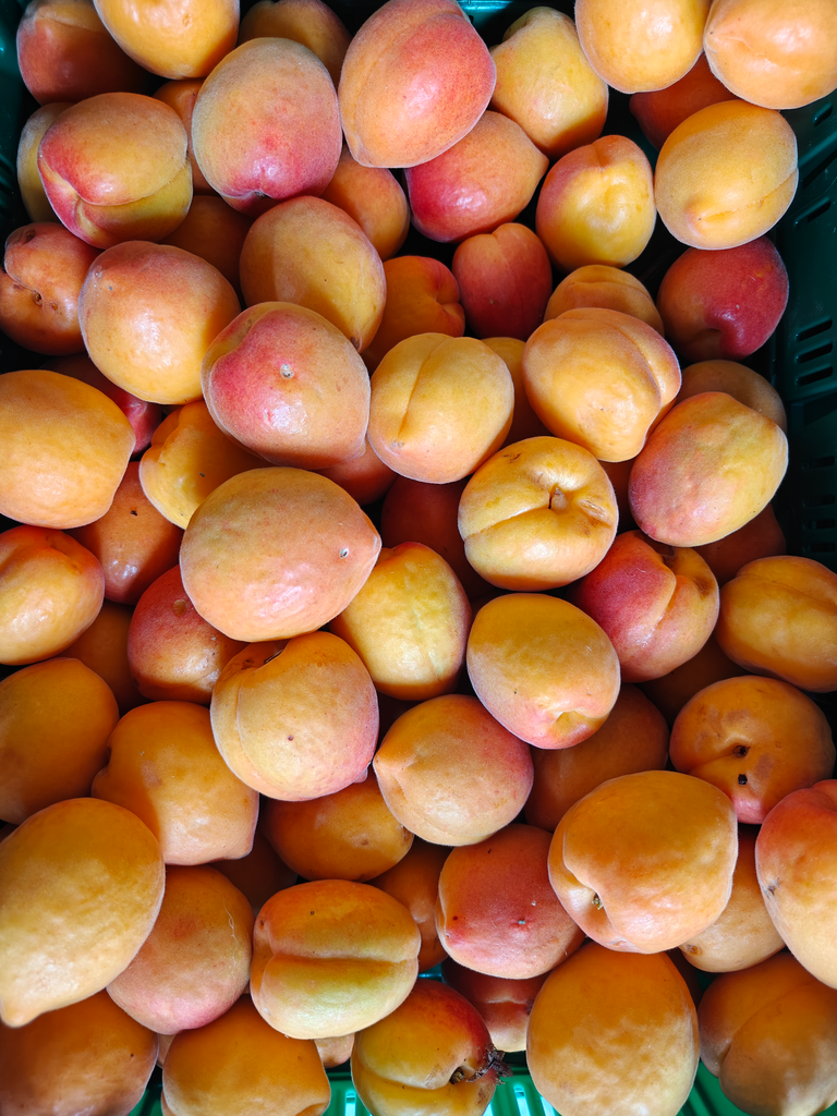 Abricot BIO (250gr)