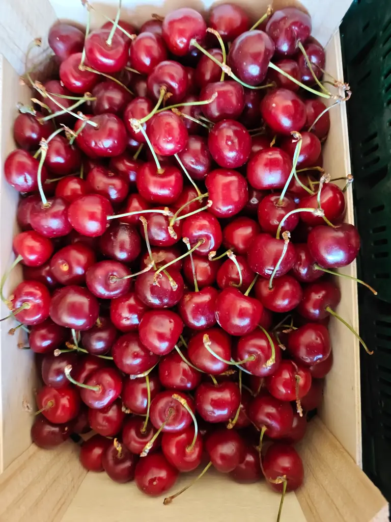 Kers BIO (300gr)