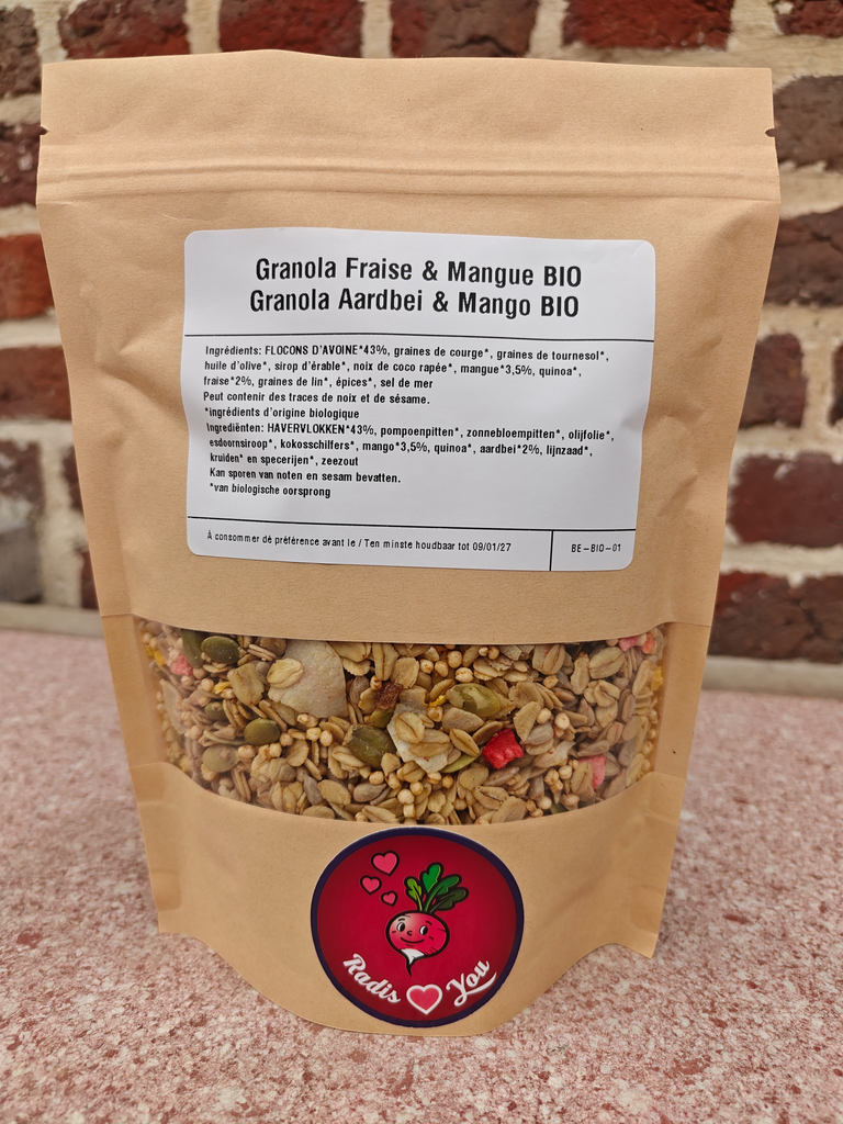 Granola Fraise & Mangue BIO (300gr)